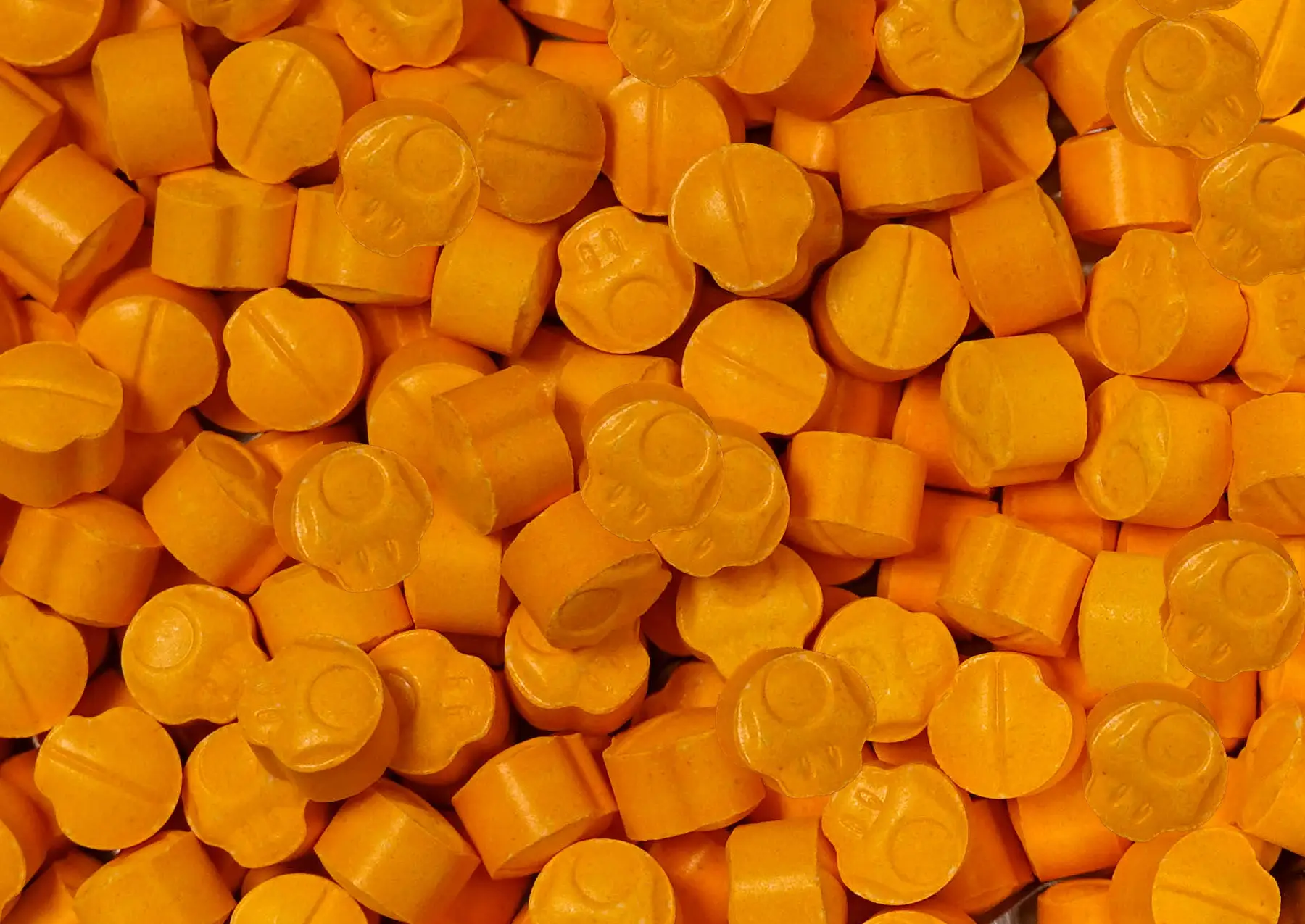 Candy Flip Toad Candy Flip Toad